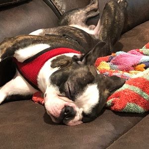 Meet your Posher, Sean